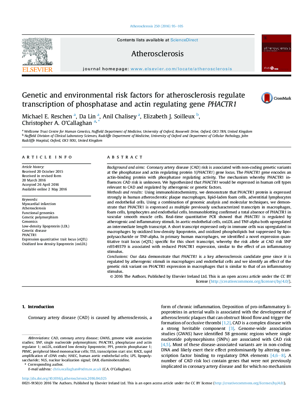 Genetic and environmental risk factors for atherosclerosis regulate transcription of phosphatase and actin regulating gene PHACTR1
