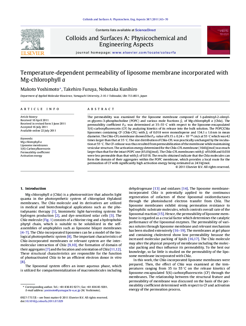 Temperature-dependent permeability of liposome membrane incorporated with Mg-chlorophyll a