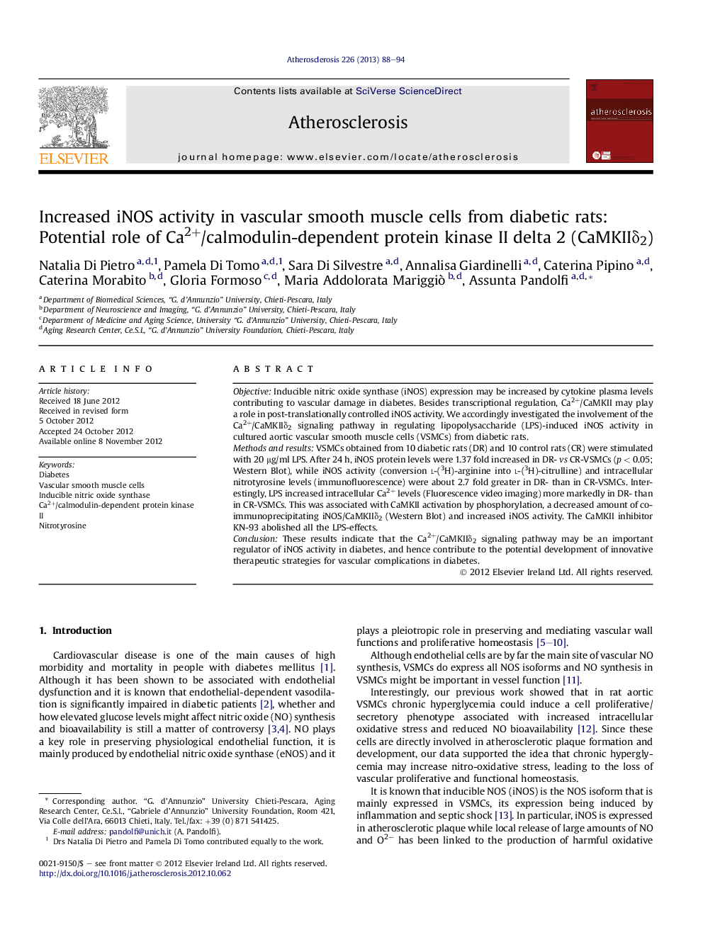 Increased iNOS activity in vascular smooth muscle cells from diabetic rats: Potential role of Ca2+/calmodulin-dependent protein kinase II delta 2 (CaMKIIÎ´2)