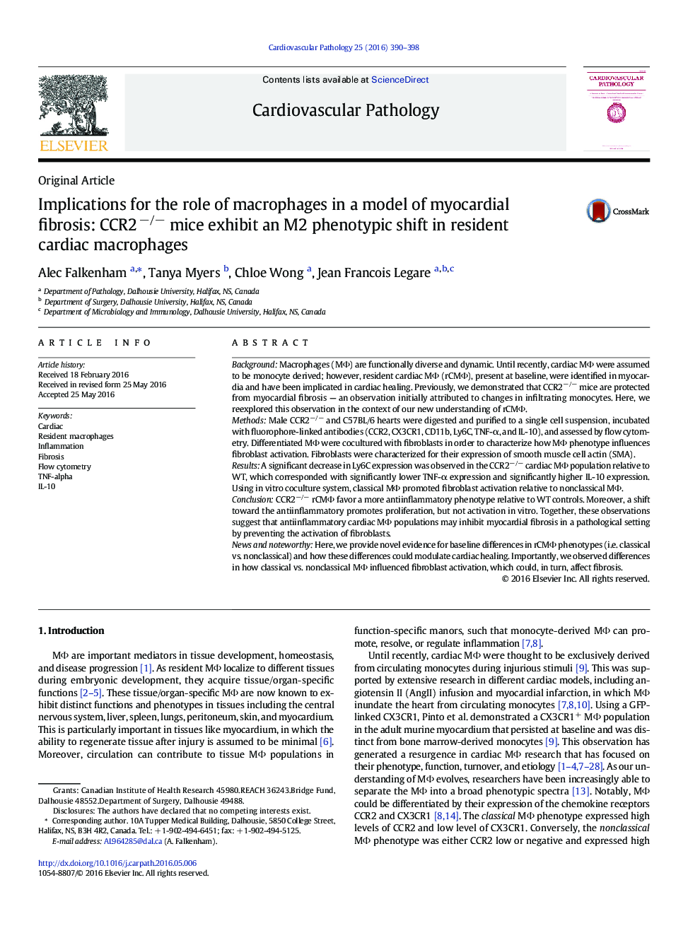 Implications for the role of macrophages in a model of myocardial fibrosis: CCR2â/â mice exhibit an M2 phenotypic shift in resident cardiac macrophages