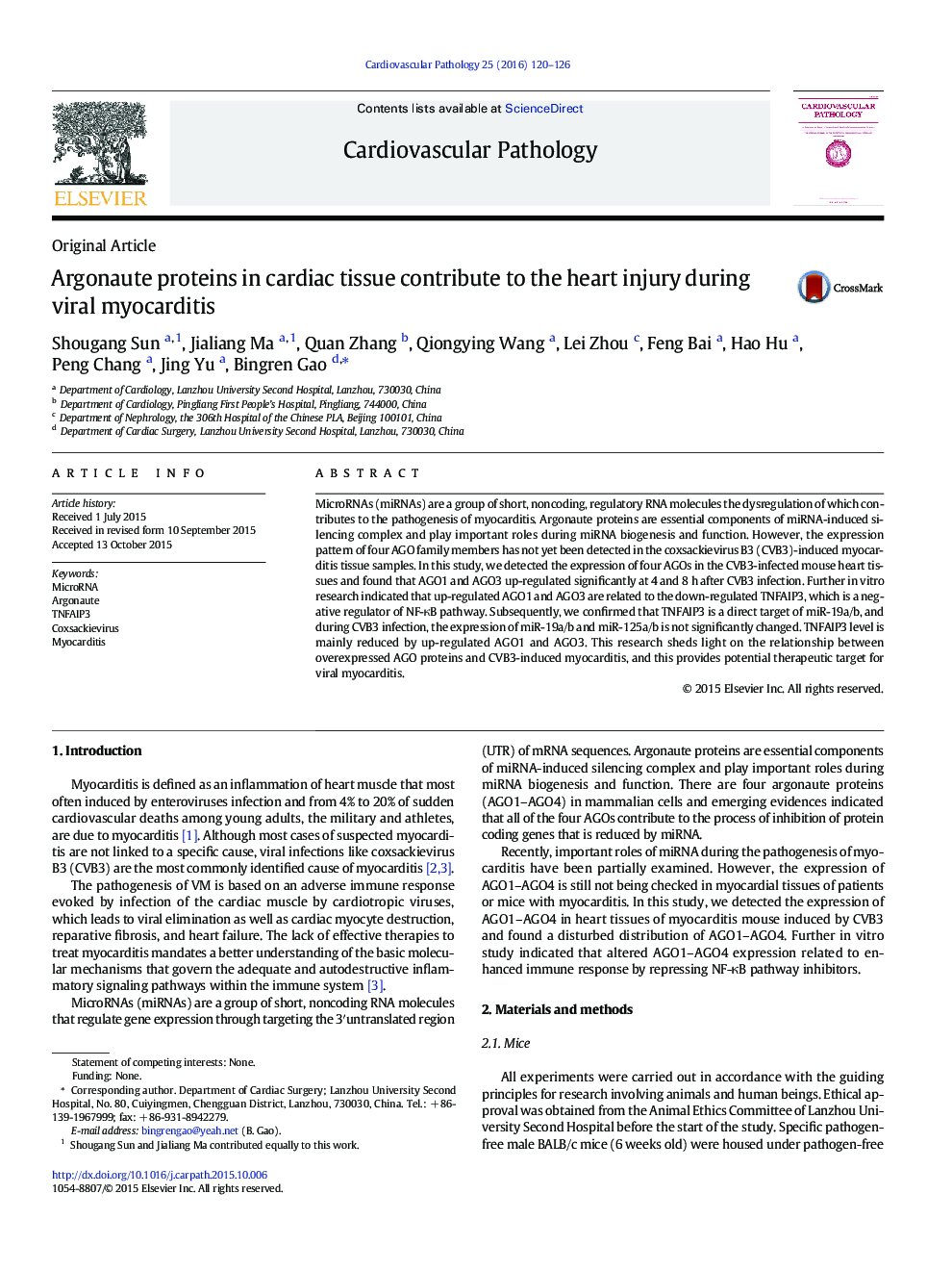 Argonaute proteins in cardiac tissue contribute to the heart injury during viral myocarditis