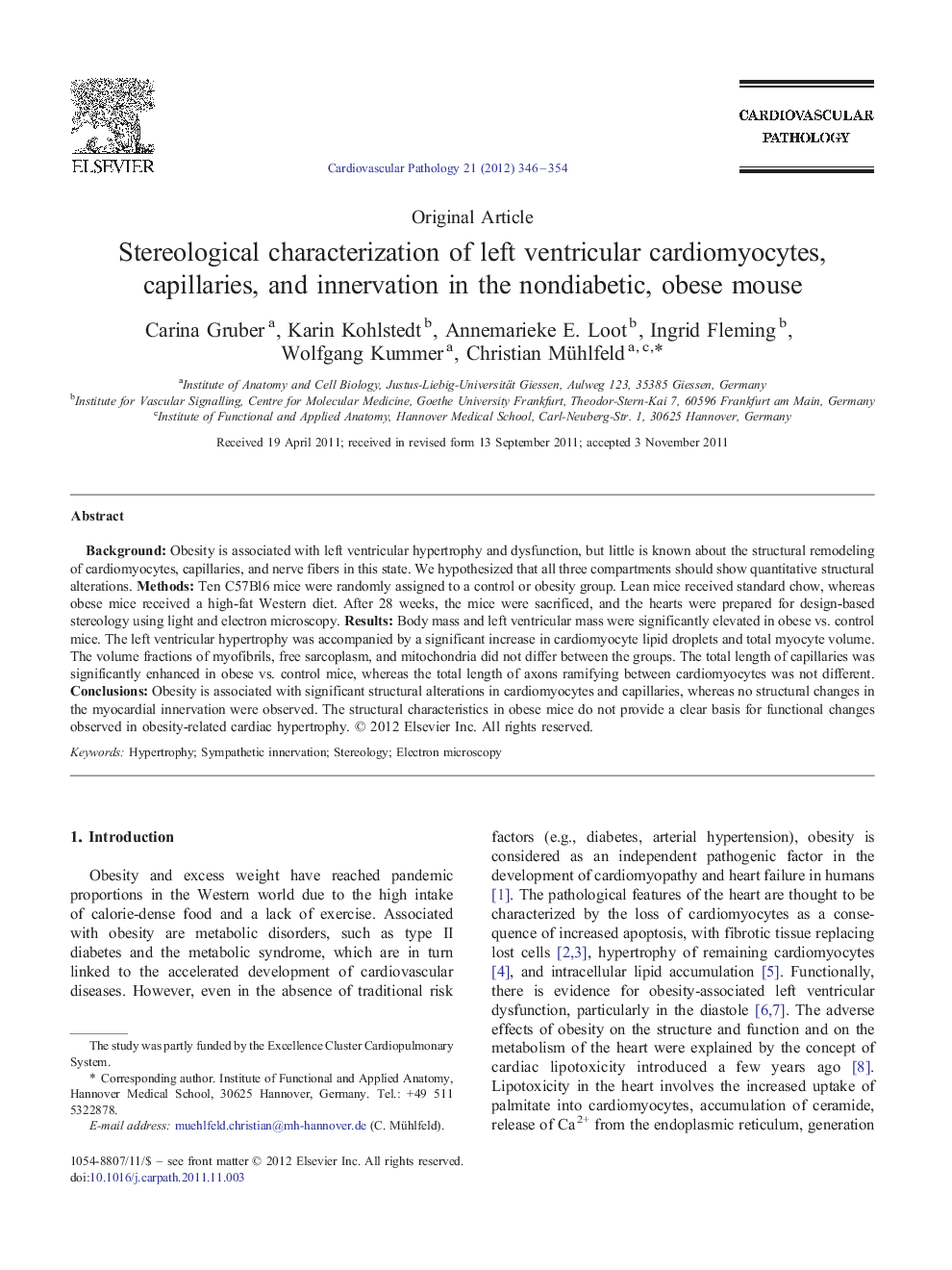 Stereological characterization of left ventricular cardiomyocytes, capillaries, and innervation in the nondiabetic, obese mouse