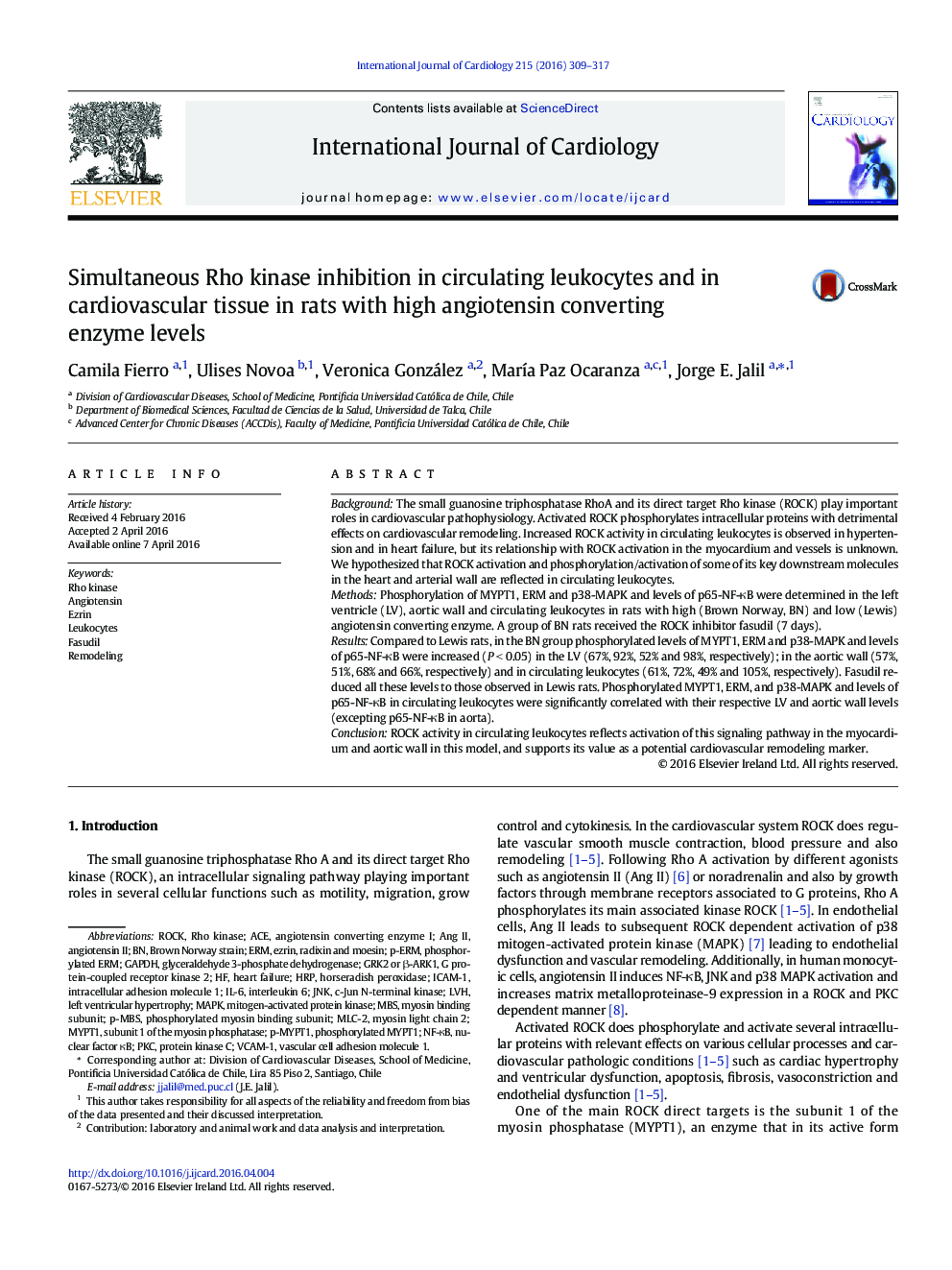 Simultaneous Rho kinase inhibition in circulating leukocytes and in cardiovascular tissue in rats with high angiotensin converting enzyme levels