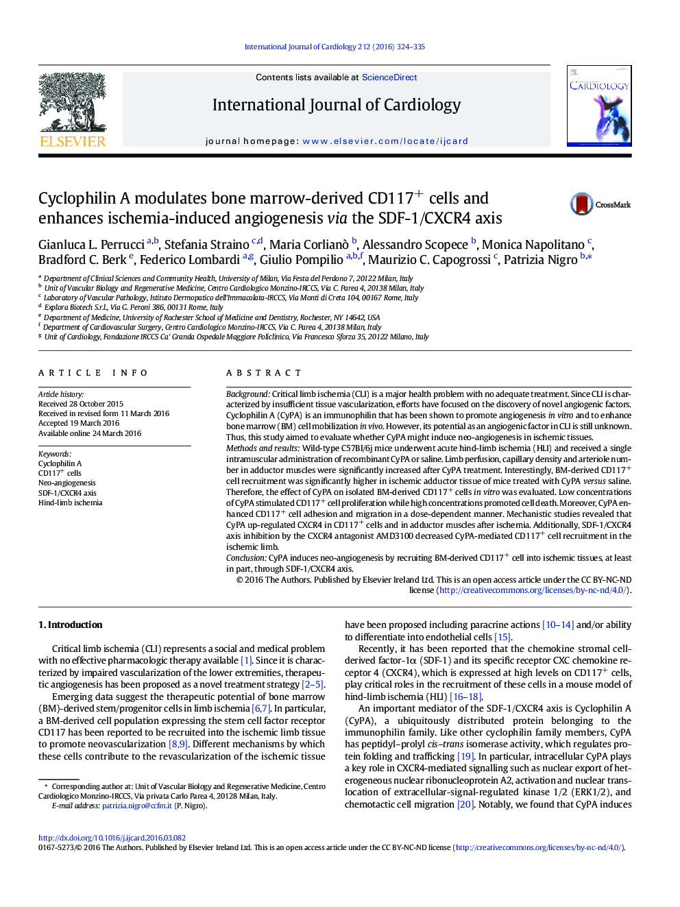 Cyclophilin A modulates bone marrow-derived CD117+ cells and enhances ischemia-induced angiogenesis via the SDF-1/CXCR4 axis