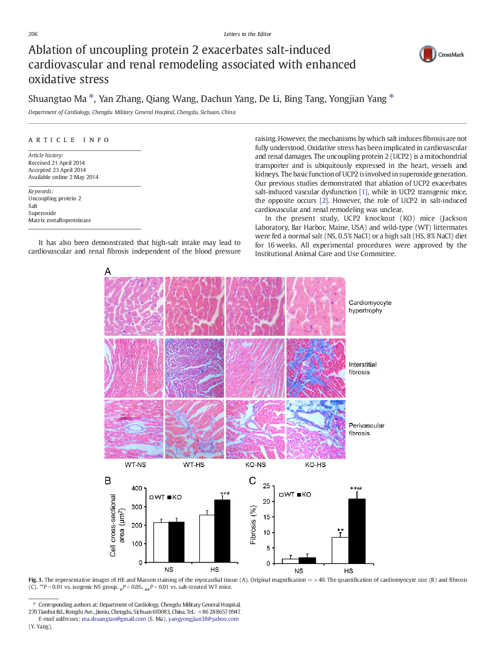 Ablation of uncoupling protein 2 exacerbates salt-induced cardiovascular and renal remodeling associated with enhanced oxidative stress