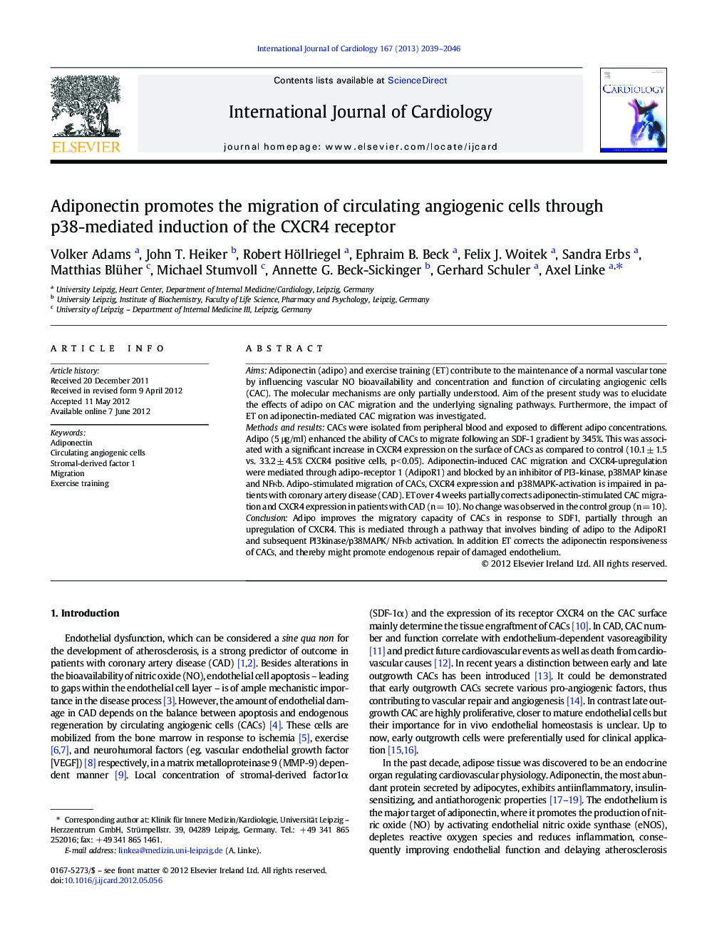 Adiponectin promotes the migration of circulating angiogenic cells through p38-mediated induction of the CXCR4 receptor