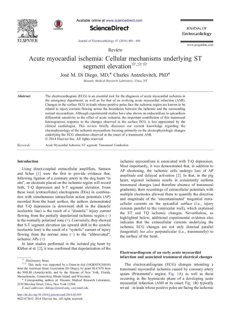 Acute myocardial ischemia: Cellular mechanisms underlying ST segment elevation