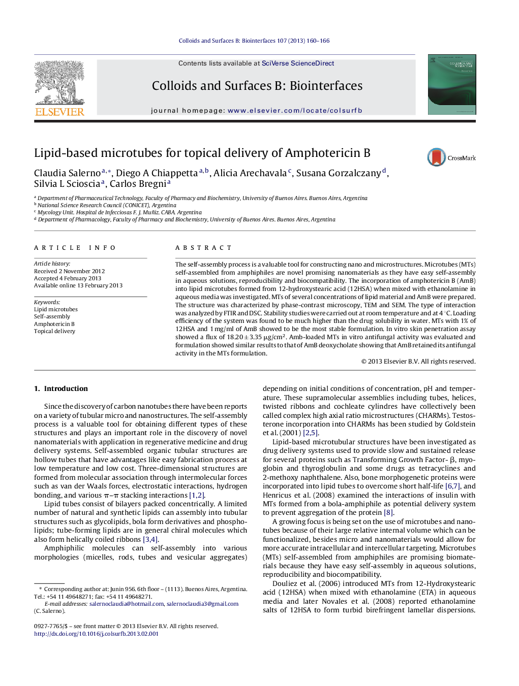 Lipid-based microtubes for topical delivery of Amphotericin B