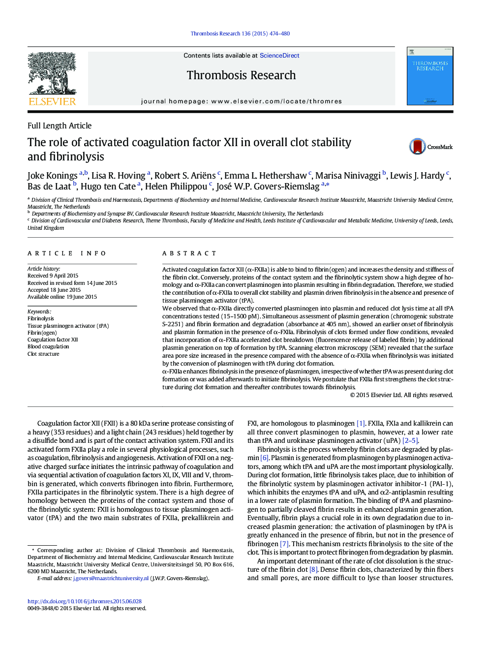 The role of activated coagulation factor XII in overall clot stability and fibrinolysis