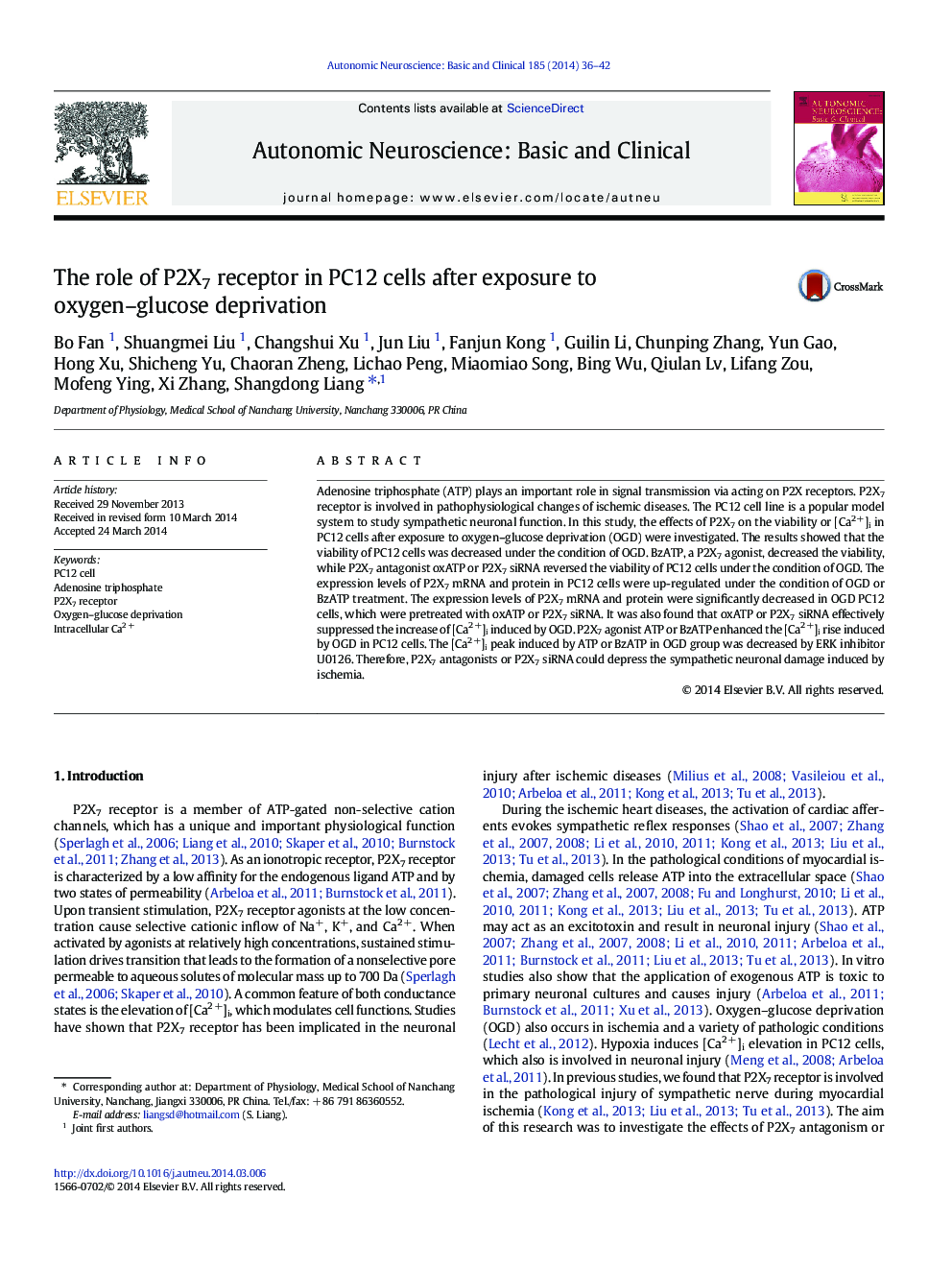 The role of P2X7 receptor in PC12 cells after exposure to oxygen-glucose deprivation