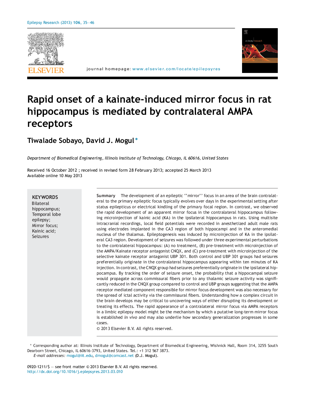 Rapid onset of a kainate-induced mirror focus in rat hippocampus is mediated by contralateral AMPA receptors