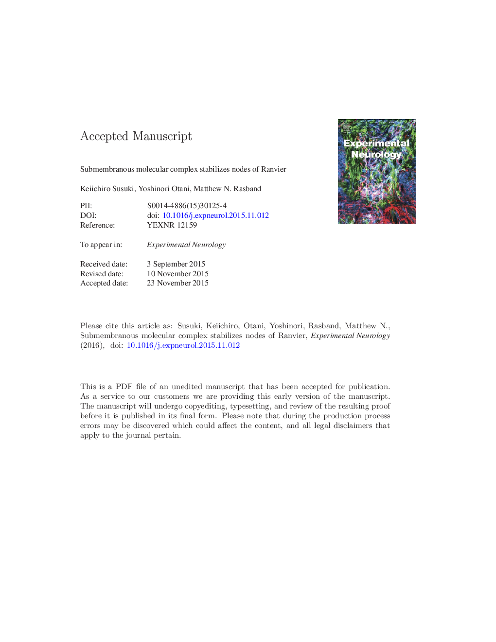 Submembranous cytoskeletons stabilize nodes of Ranvier