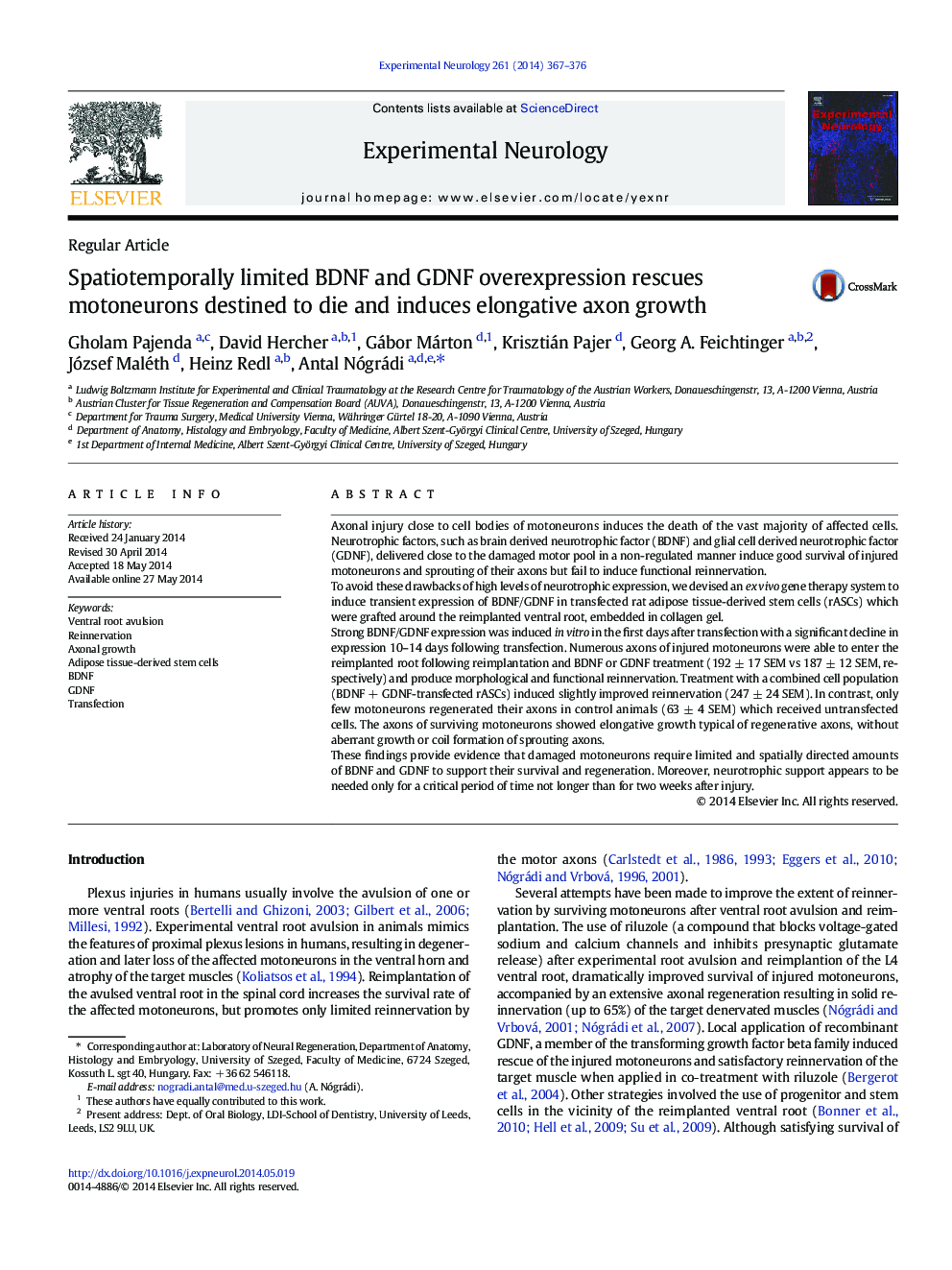 Spatiotemporally limited BDNF and GDNF overexpression rescues motoneurons destined to die and induces elongative axon growth