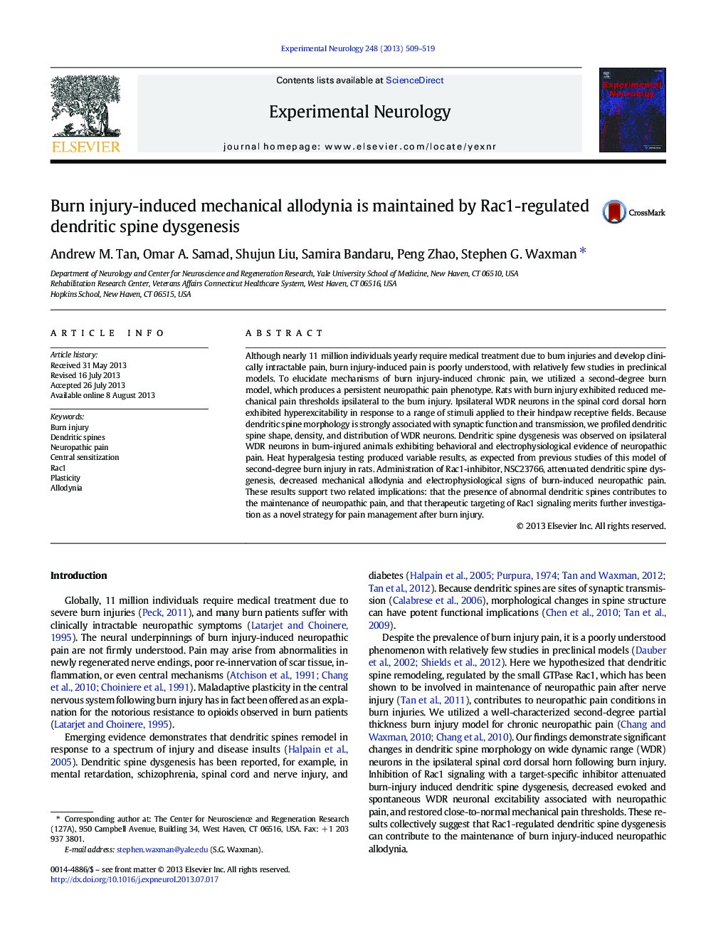 Burn injury-induced mechanical allodynia is maintained by Rac1-regulated dendritic spine dysgenesis