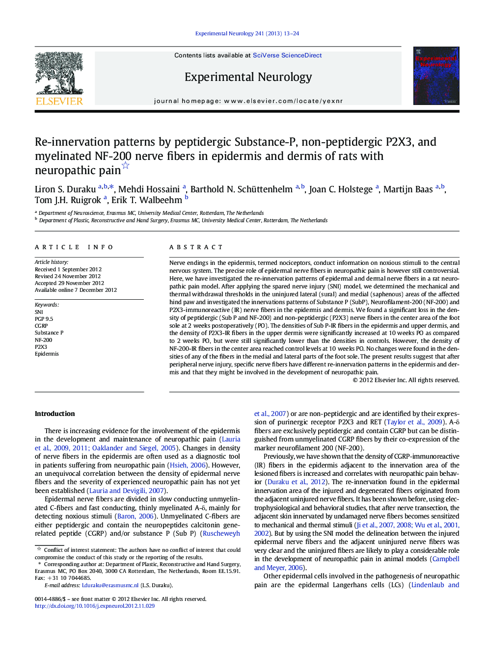 Re-innervation patterns by peptidergic Substance-P, non-peptidergic P2X3, and myelinated NF-200 nerve fibers in epidermis and dermis of rats with neuropathic pain