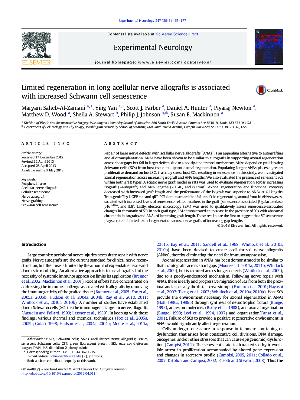 Limited regeneration in long acellular nerve allografts is associated with increased Schwann cell senescence