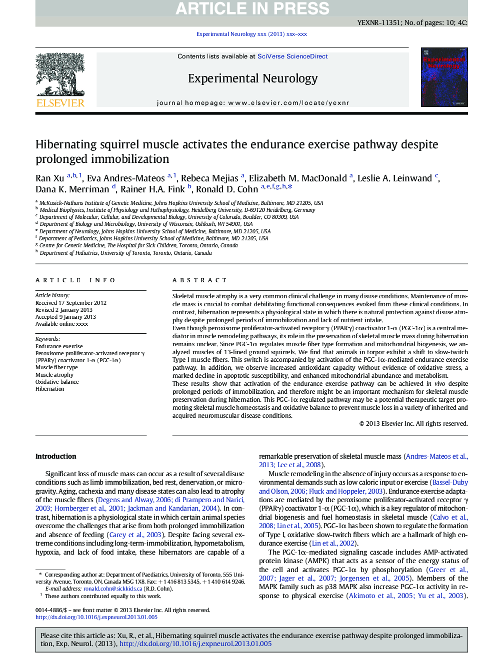 Hibernating squirrel muscle activates the endurance exercise pathway despite prolonged immobilization