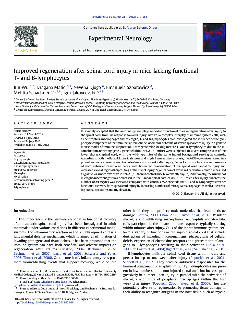 Improved regeneration after spinal cord injury in mice lacking functional T- and B-lymphocytes