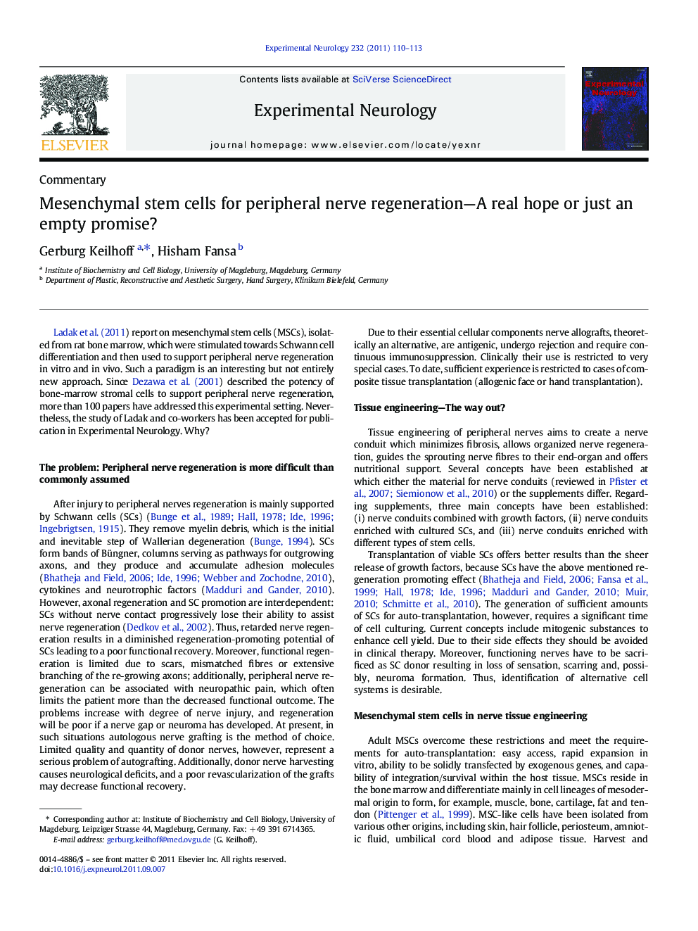 Mesenchymal stem cells for peripheral nerve regeneration-A real hope or just an empty promise?