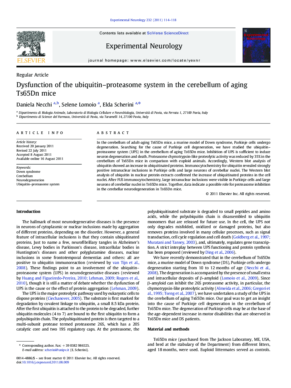 Dysfunction of the ubiquitin-proteasome system in the cerebellum of aging Ts65Dn mice