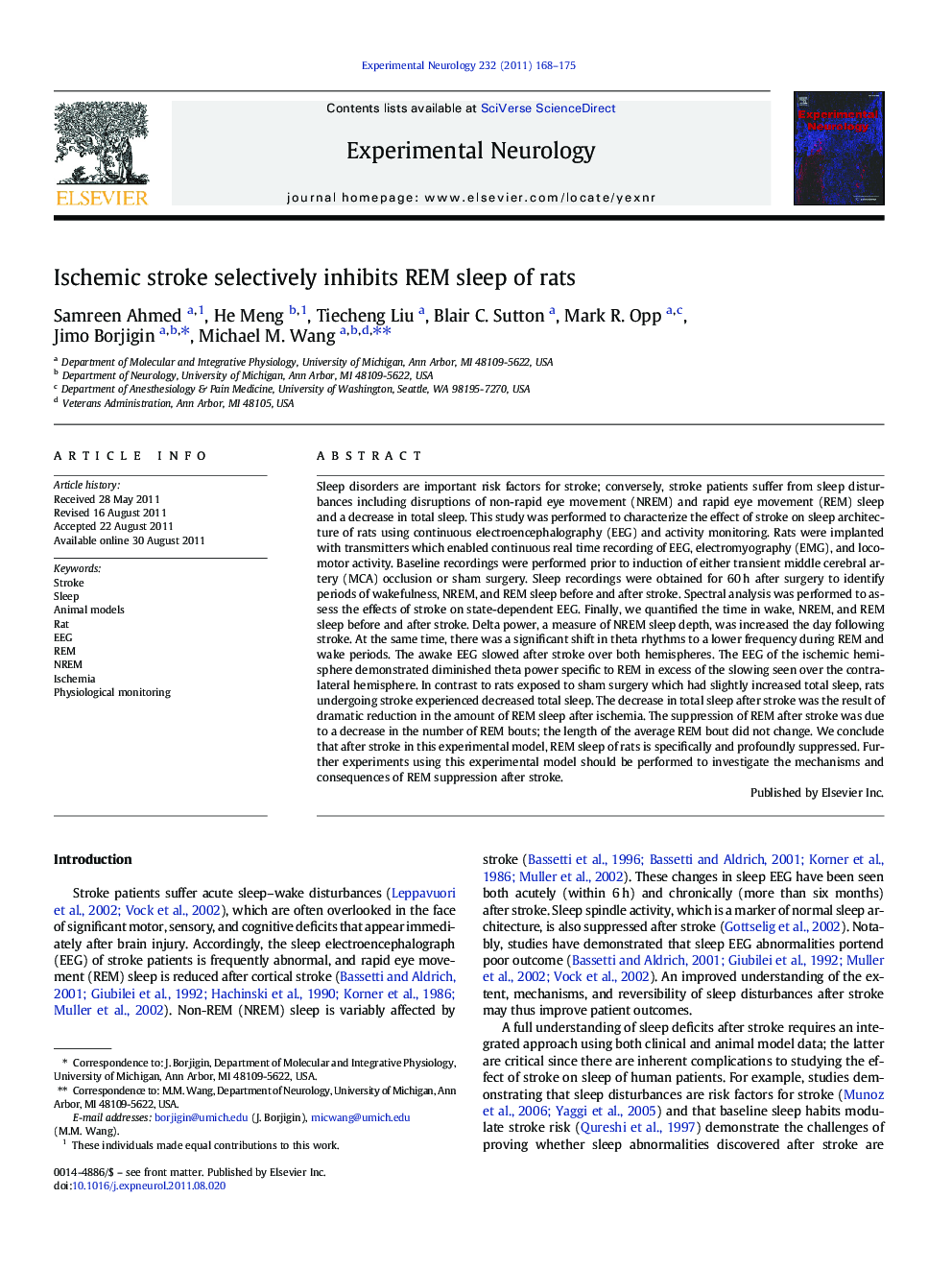 Ischemic stroke selectively inhibits REM sleep of rats