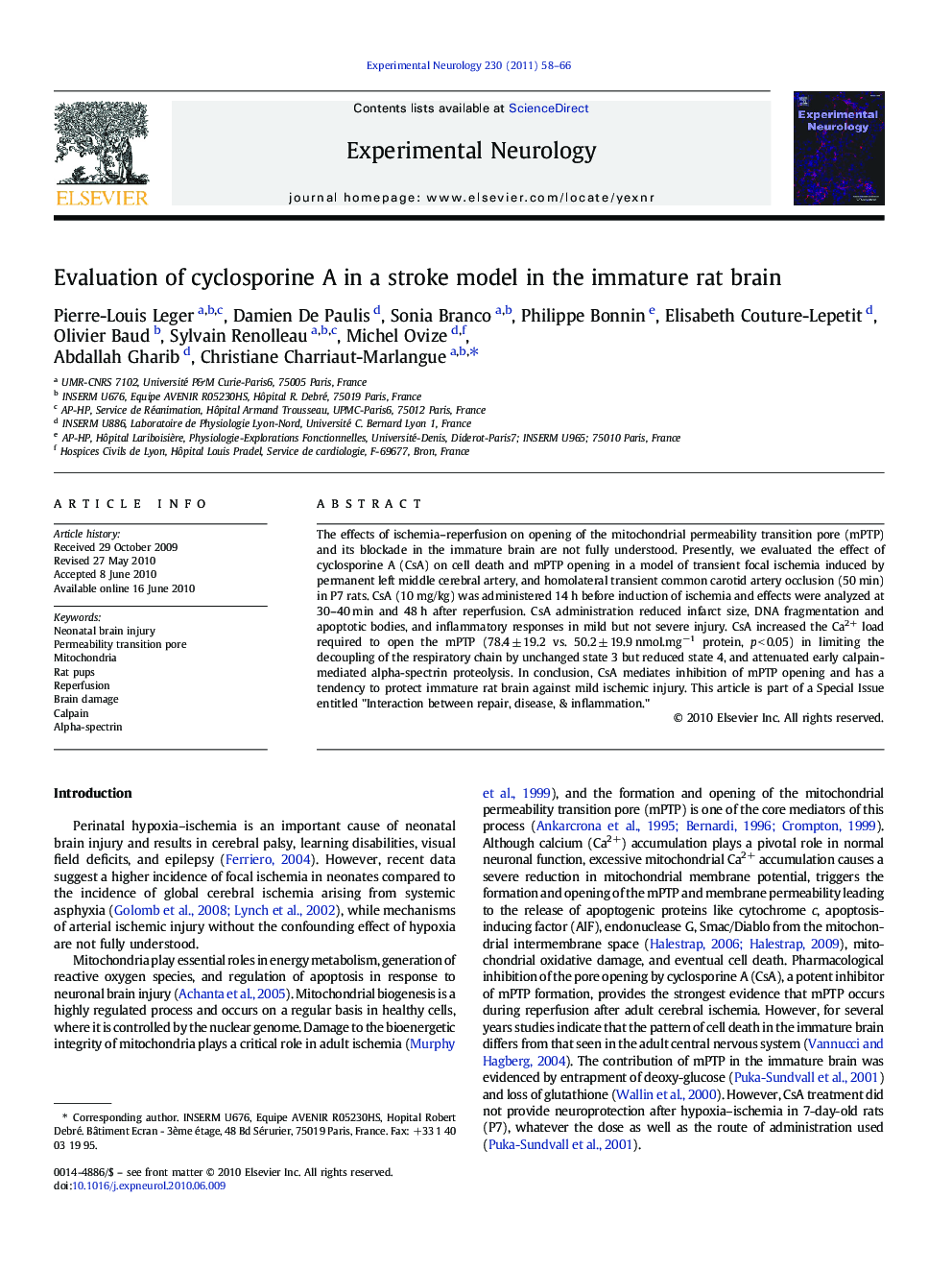 Evaluation of cyclosporine A in a stroke model in the immature rat brain