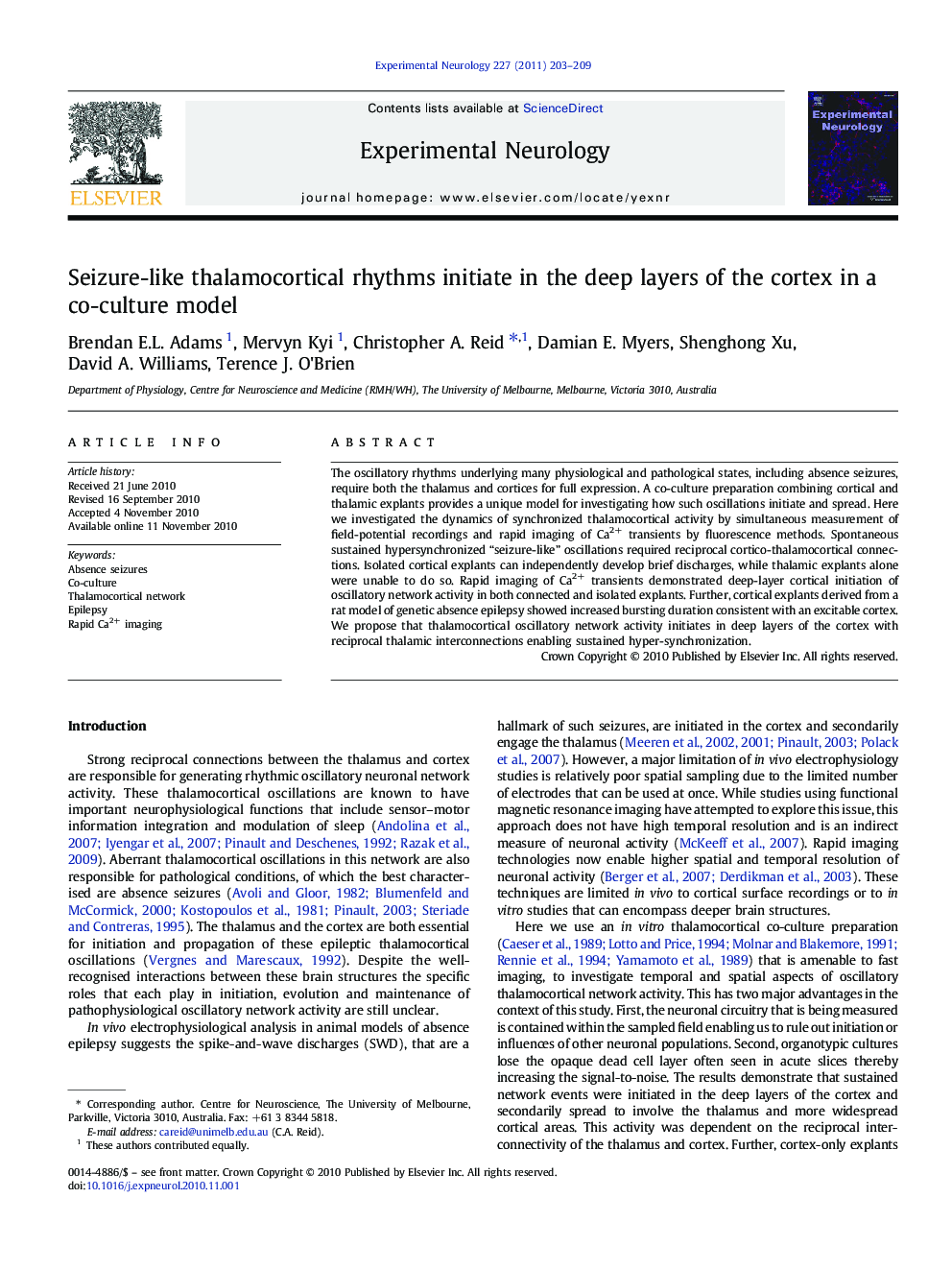 Seizure-like thalamocortical rhythms initiate in the deep layers of the cortex in a co-culture model