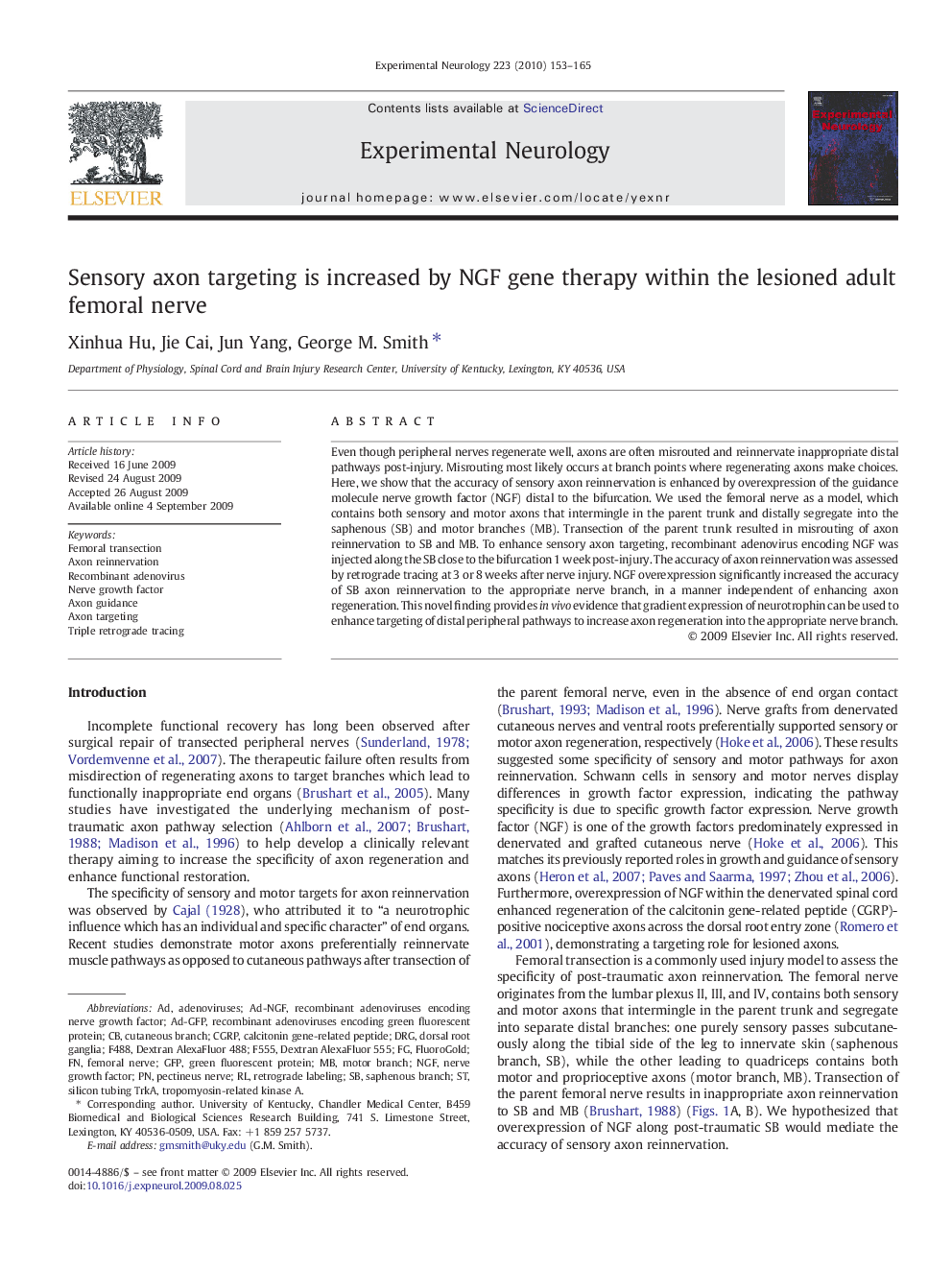 Sensory axon targeting is increased by NGF gene therapy within the lesioned adult femoral nerve