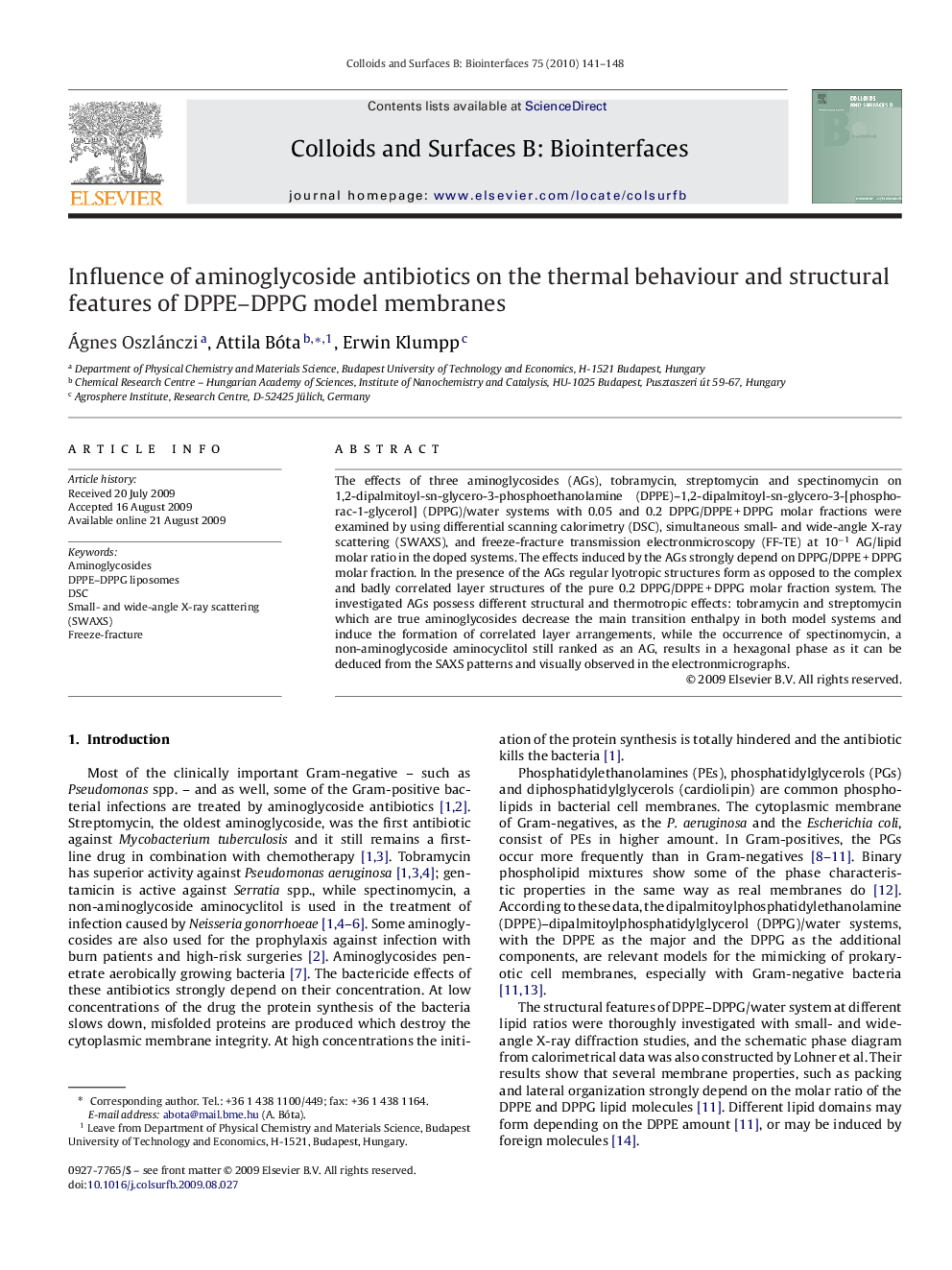 Influence of aminoglycoside antibiotics on the thermal behaviour and structural features of DPPE–DPPG model membranes