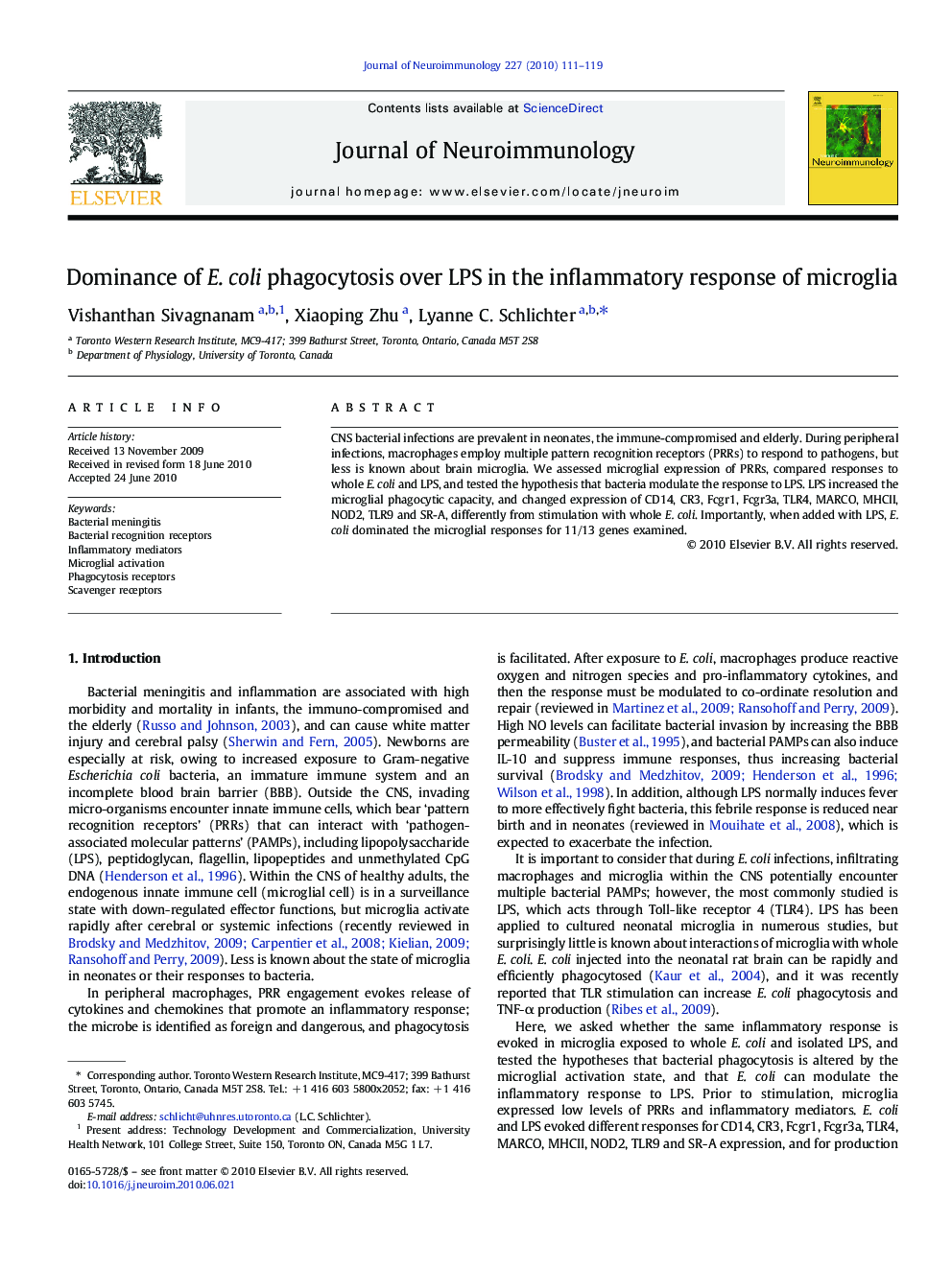 Dominance of E. coli phagocytosis over LPS in the inflammatory response of microglia