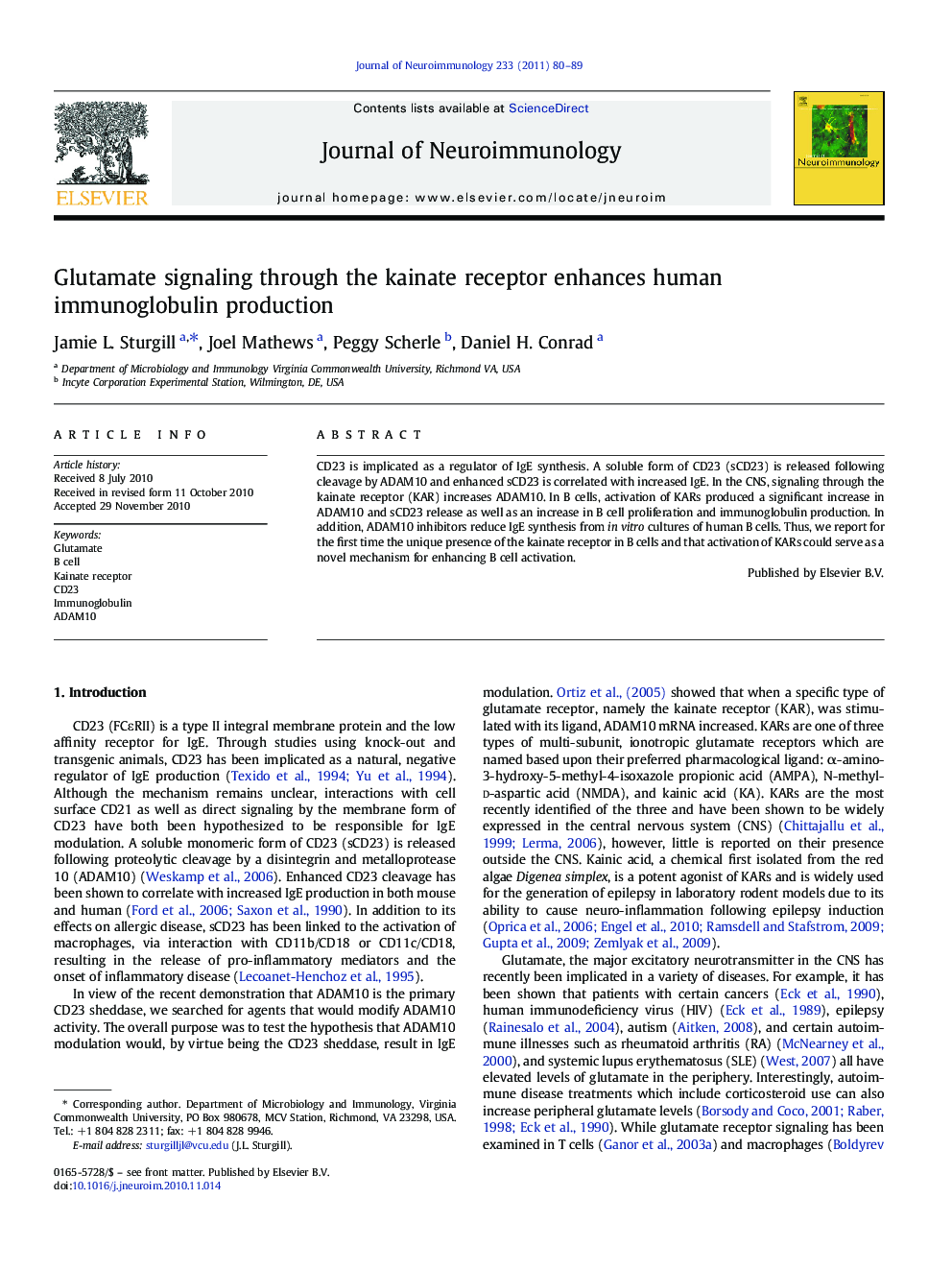 Glutamate signaling through the kainate receptor enhances human immunoglobulin production