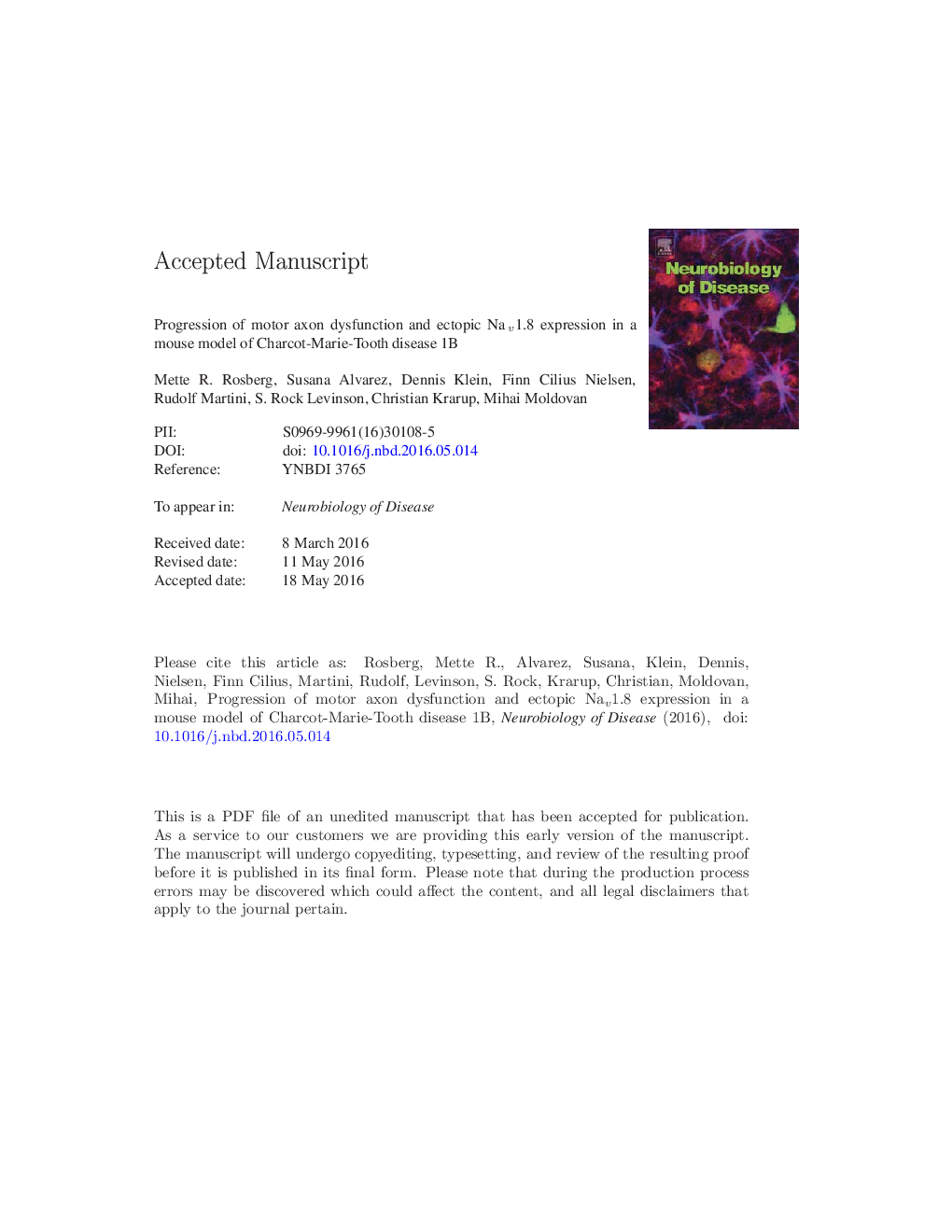 Progression of motor axon dysfunction and ectopic Nav1.8 expression in a mouse model of Charcot-Marie-Tooth disease 1B