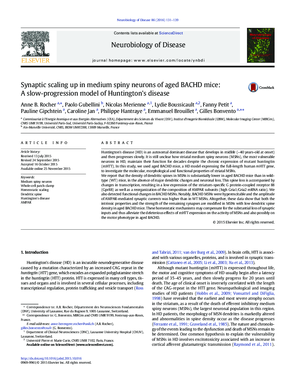 Synaptic scaling up in medium spiny neurons of aged BACHD mice: A slow-progression model of Huntington's disease