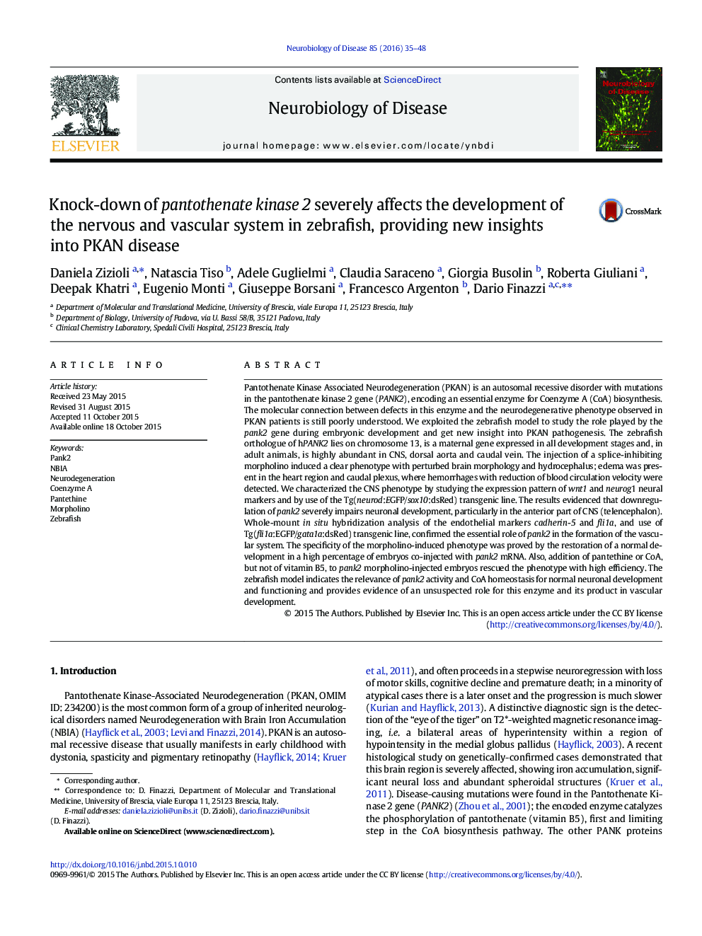 Knock-down of pantothenate kinase 2 severely affects the development of the nervous and vascular system in zebrafish, providing new insights into PKAN disease