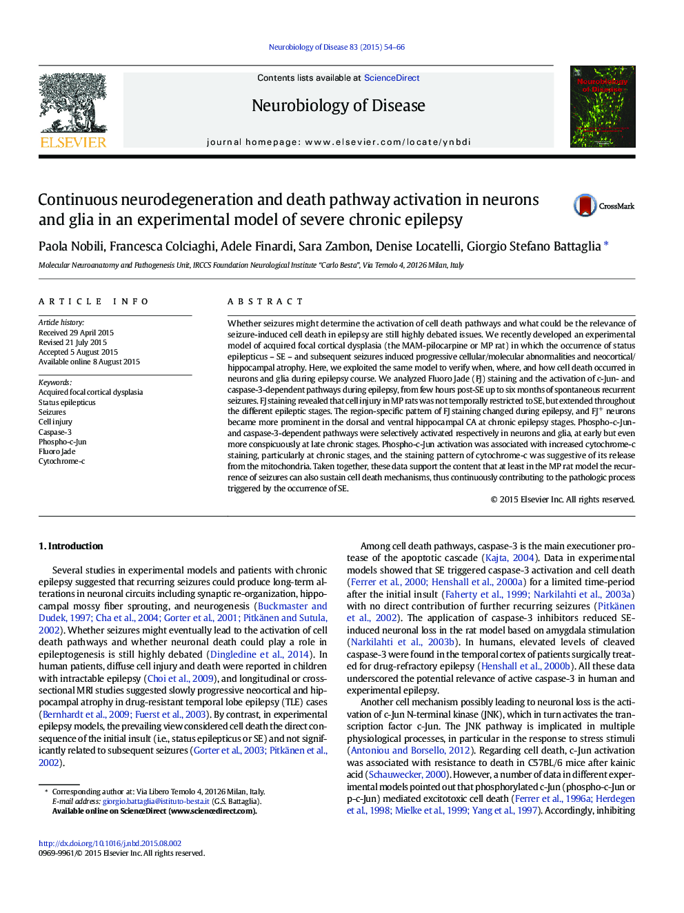 Continuous neurodegeneration and death pathway activation in neurons and glia in an experimental model of severe chronic epilepsy