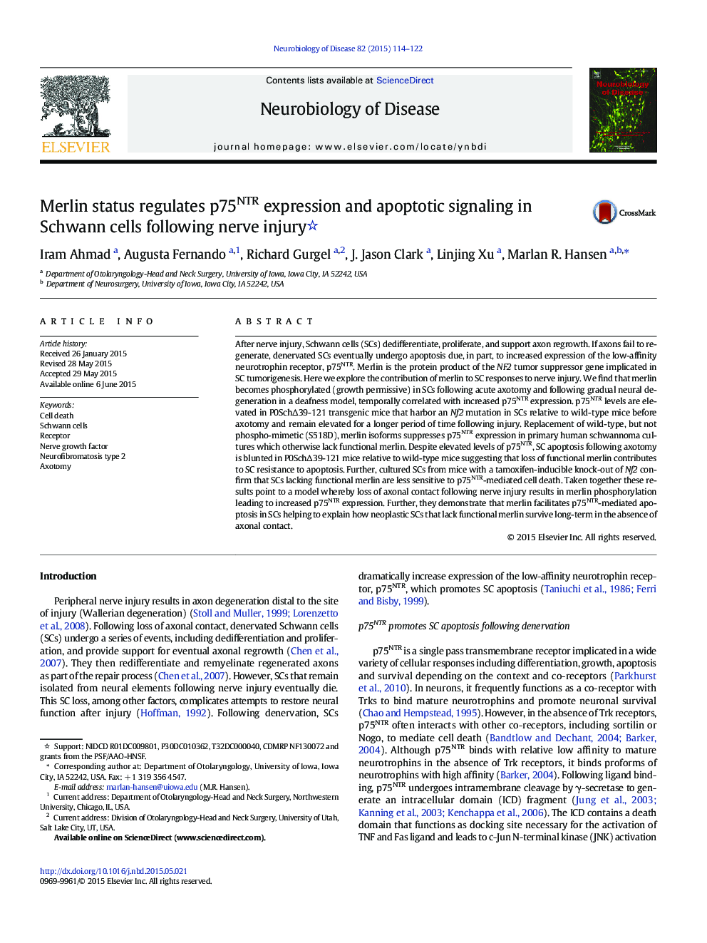 Merlin status regulates p75NTR expression and apoptotic signaling in Schwann cells following nerve injury