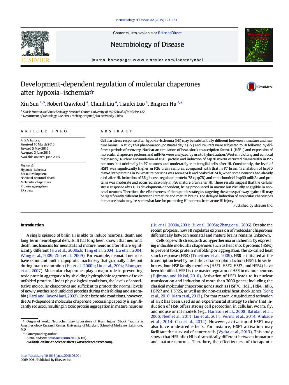 Development-dependent regulation of molecular chaperones after hypoxia-ischemia