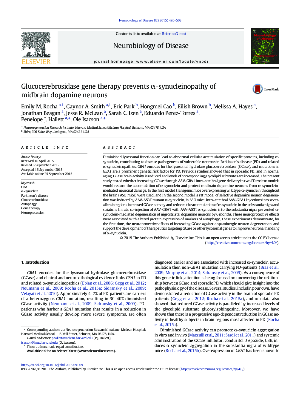 Glucocerebrosidase gene therapy prevents Î±-synucleinopathy of midbrain dopamine neurons