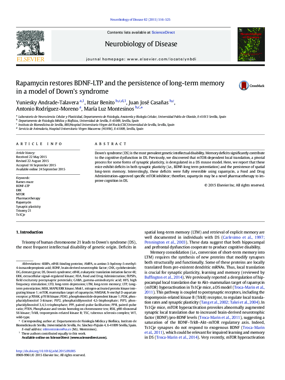 Rapamycin restores BDNF-LTP and the persistence of long-term memory in a model of Down's syndrome