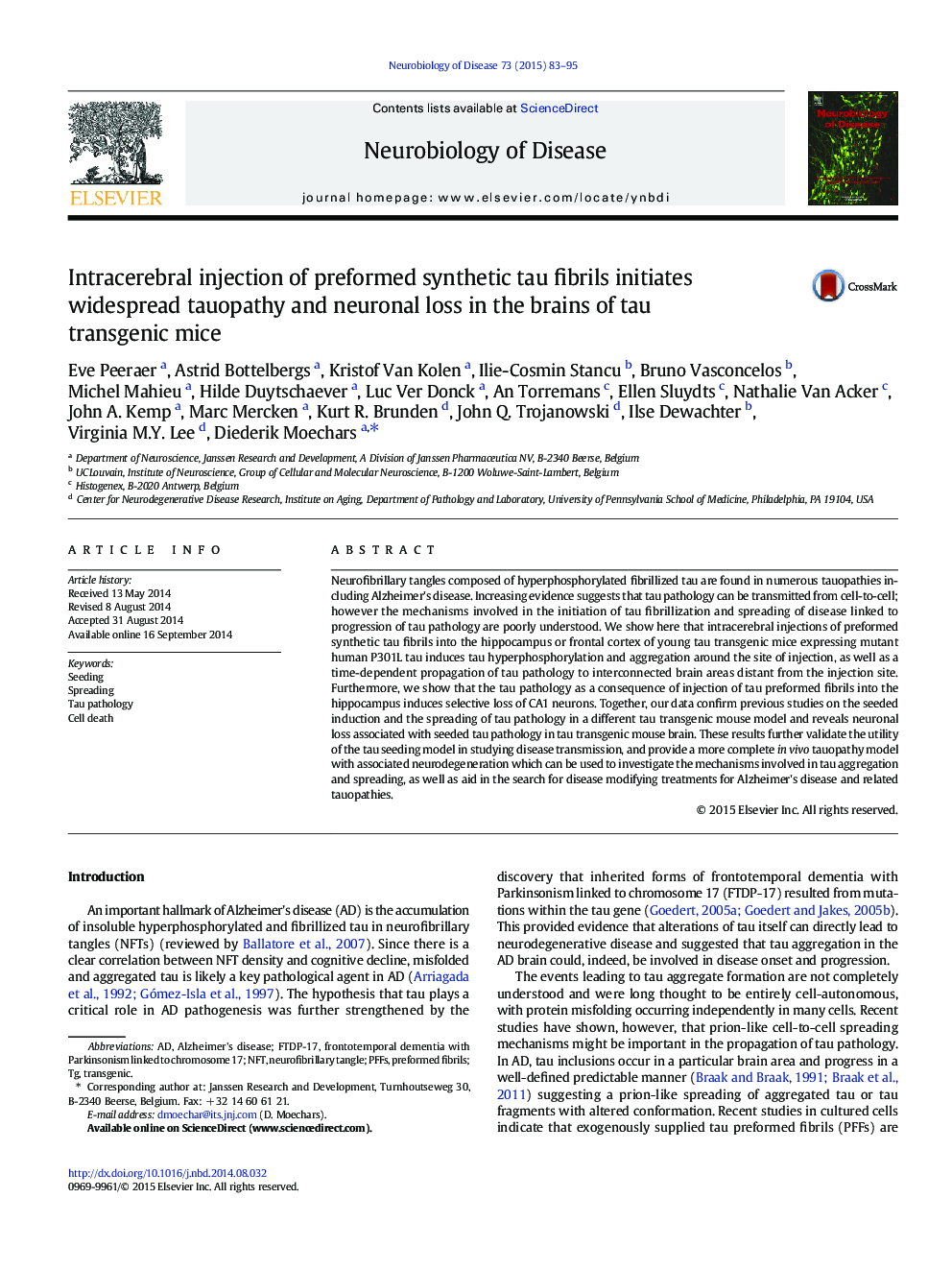 Intracerebral injection of preformed synthetic tau fibrils initiates widespread tauopathy and neuronal loss in the brains of tau transgenic mice