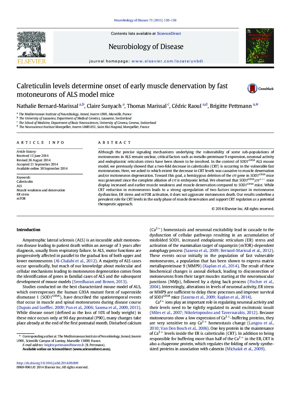 Calreticulin levels determine onset of early muscle denervation by fast motoneurons of ALS model mice