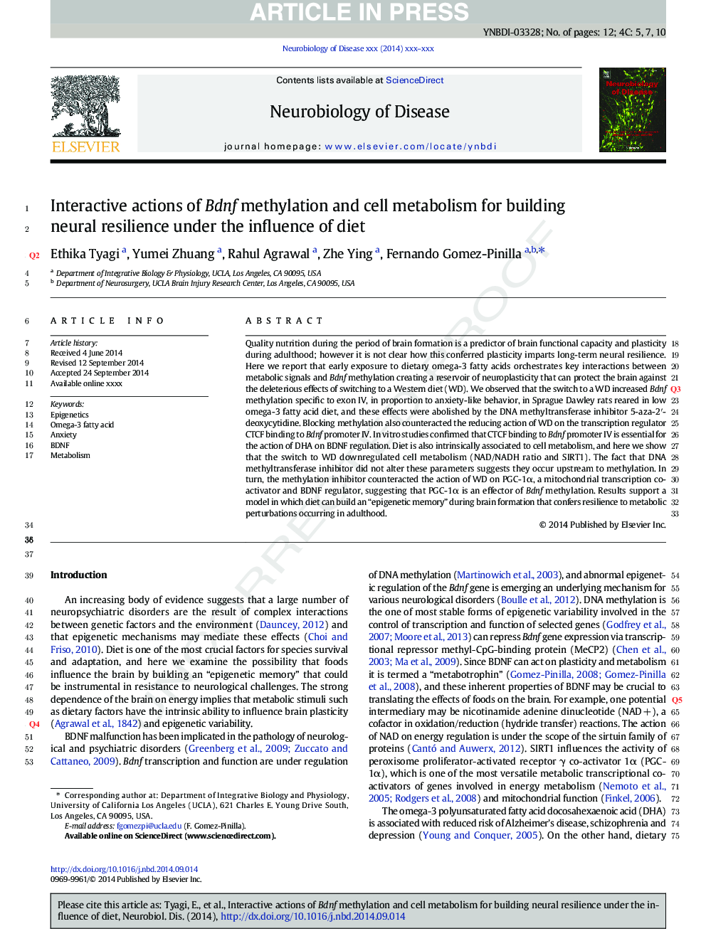 Interactive actions of Bdnf methylation and cell metabolism for building neural resilience under the influence of diet