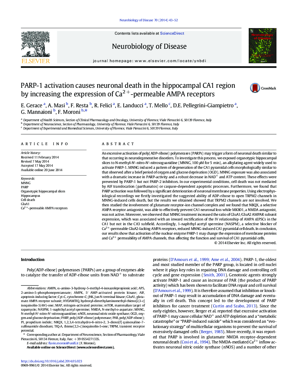 PARP-1 activation causes neuronal death in the hippocampal CA1 region by increasing the expression of Ca2Â +-permeable AMPA receptors