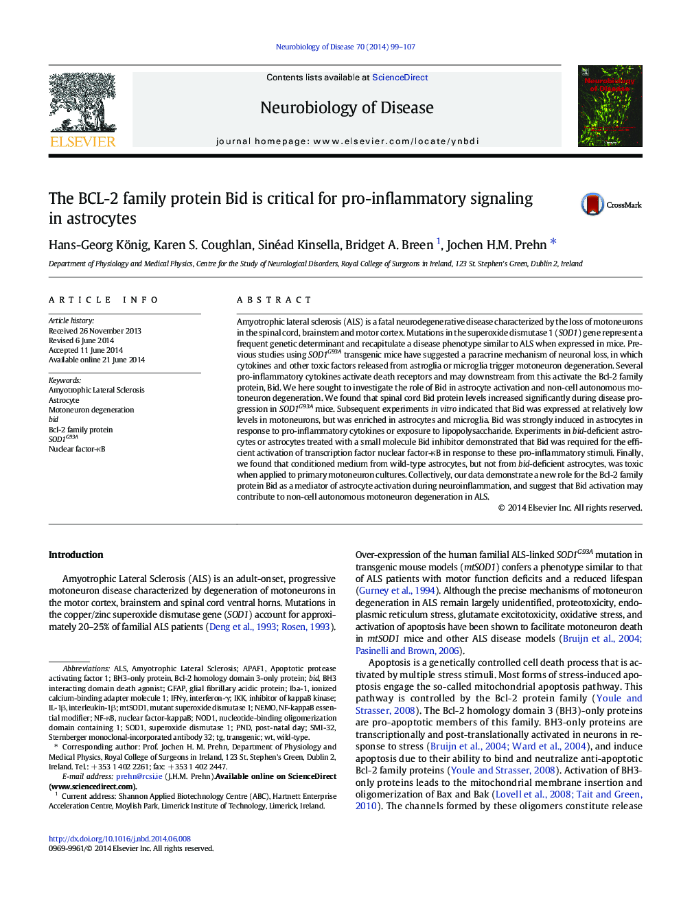 The BCL-2 family protein Bid is critical for pro-inflammatory signaling in astrocytes