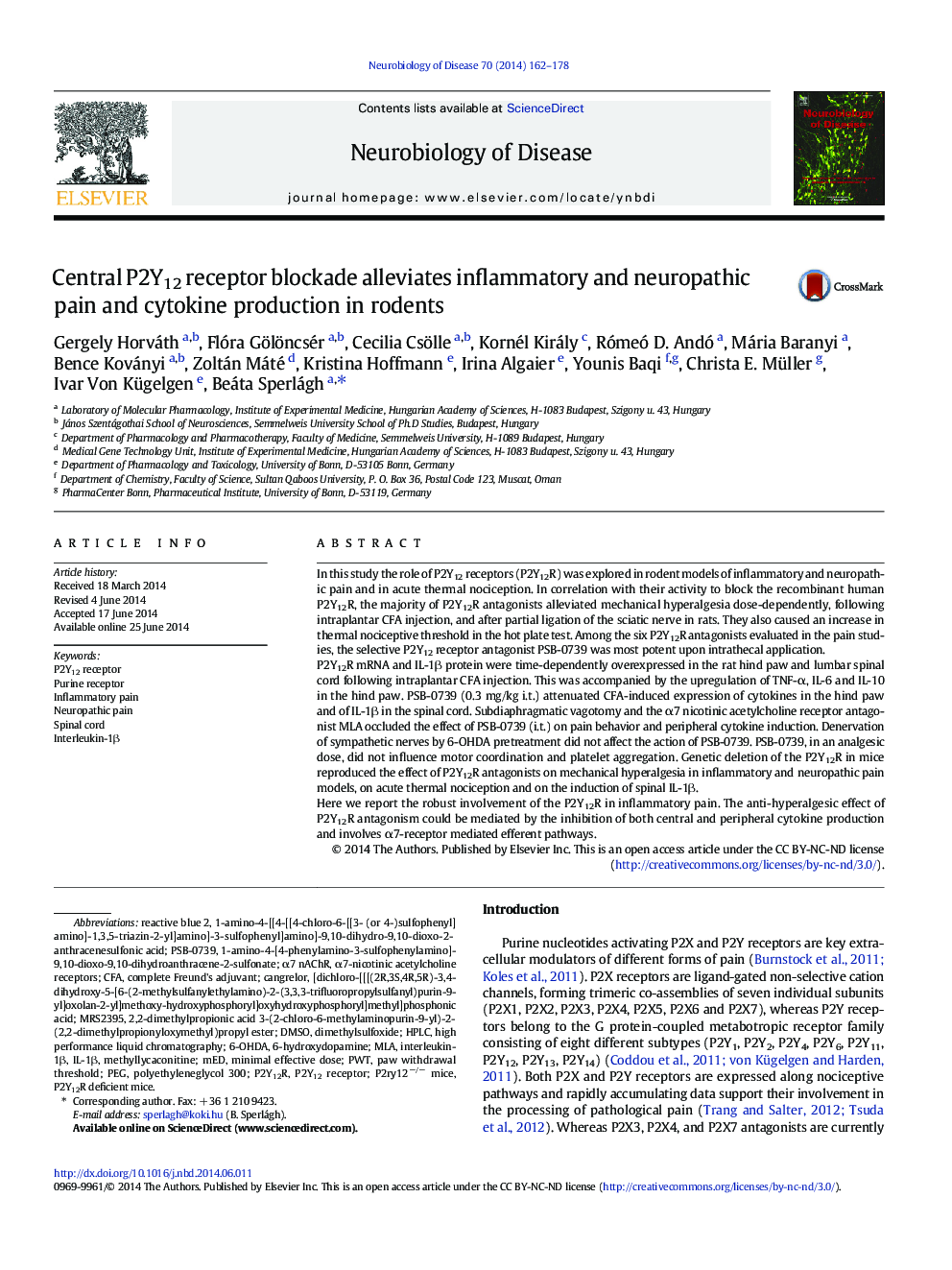 Central P2Y12 receptor blockade alleviates inflammatory and neuropathic pain and cytokine production in rodents