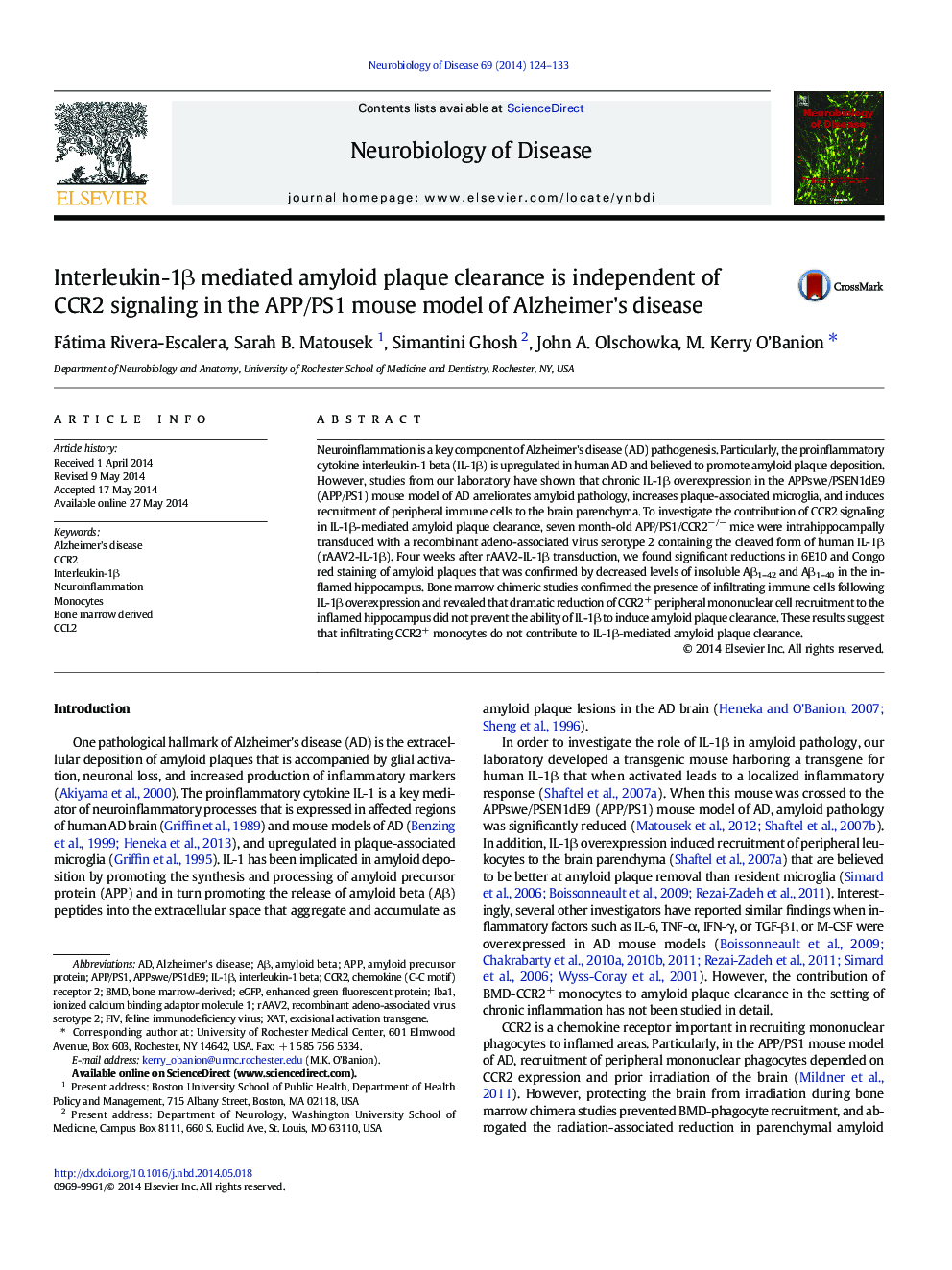 Interleukin-1Î² mediated amyloid plaque clearance is independent of CCR2 signaling in the APP/PS1 mouse model of Alzheimer's disease