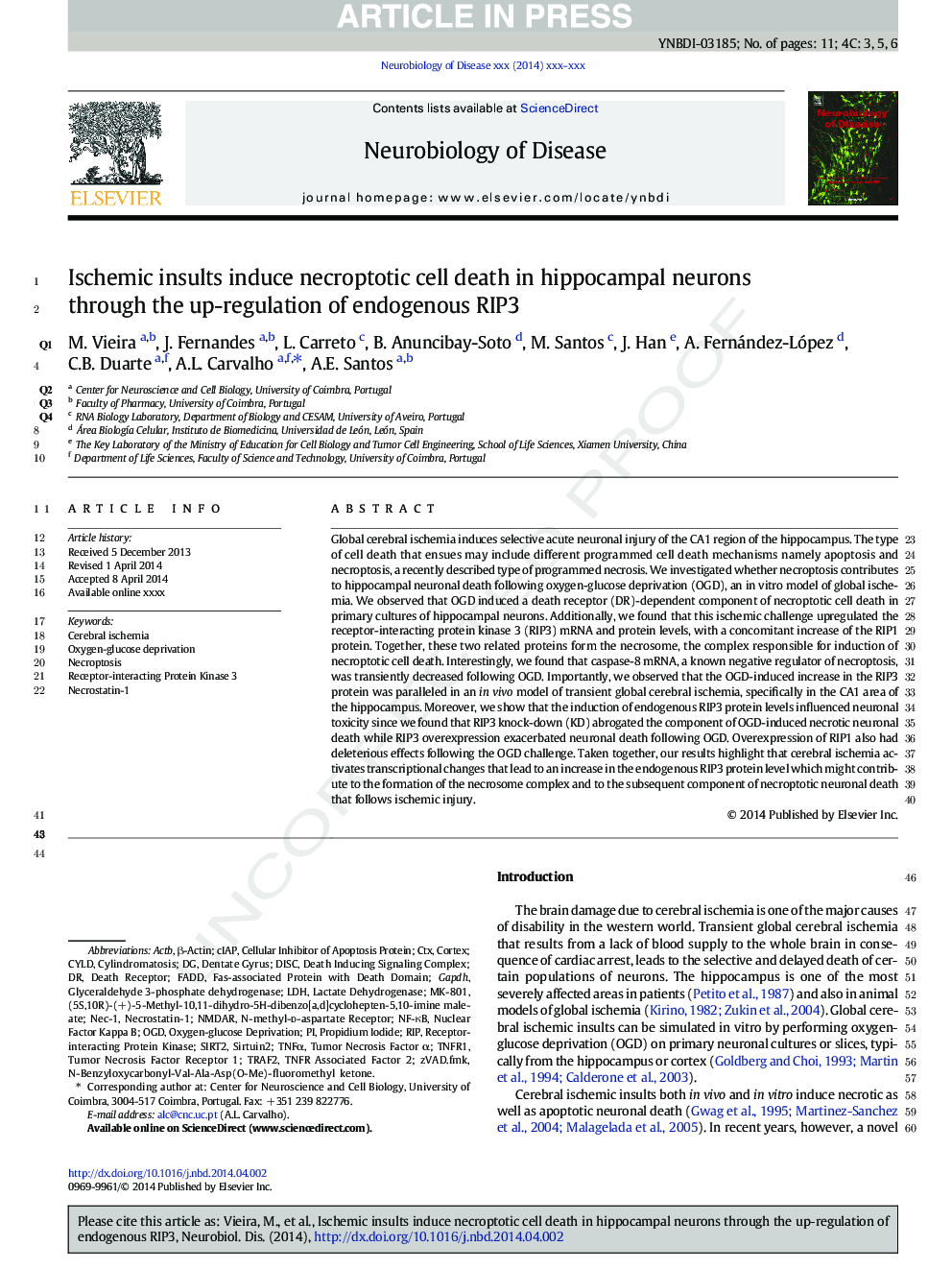 Ischemic insults induce necroptotic cell death in hippocampal neurons through the up-regulation of endogenous RIP3