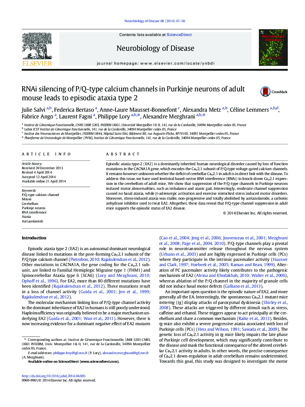 عکس صفحه اول مقاله: RNAi silencing of P/Q-type calcium channels in Purkinje neurons of adult mouse leads to episodic ataxia type 2 RNAi silencing of P/Q-type calcium channels in Purkinje neurons of adult mouse leads to episodic ataxia type 2