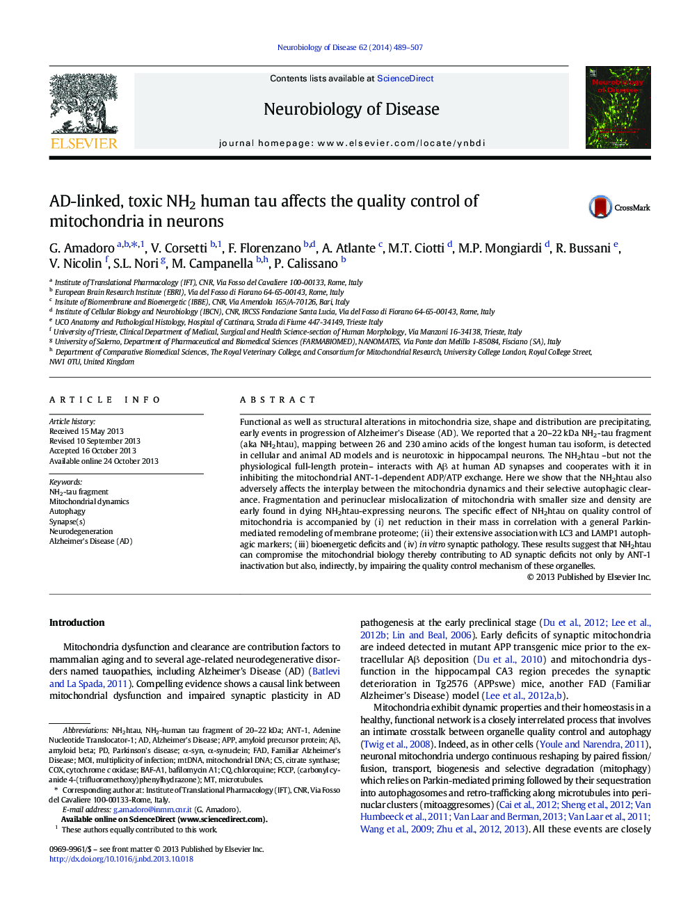 AD-linked, toxic NH2 human tau affects the quality control of mitochondria in neurons