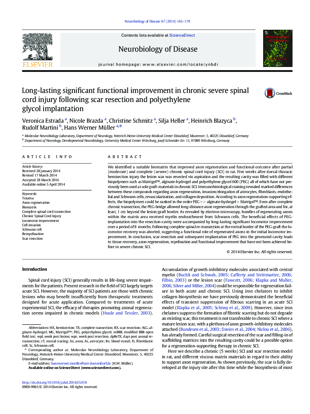 Long-lasting significant functional improvement in chronic severe spinal cord injury following scar resection and polyethylene glycol implantation